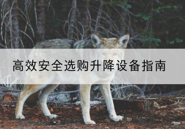 东方升降货梯厂家推荐-*安全选购升降设备指南