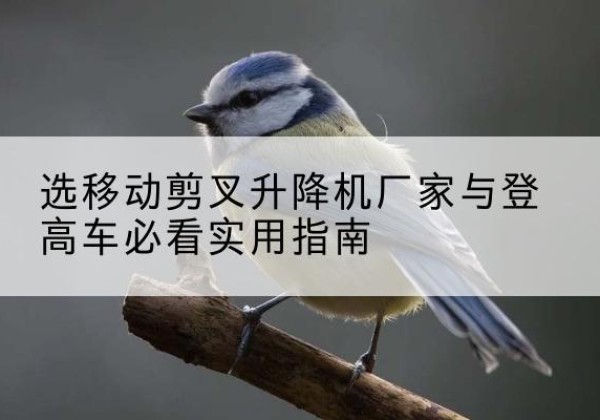 东方电动升降机厂家-选移动剪叉升降机厂家与登高车必看实用指南