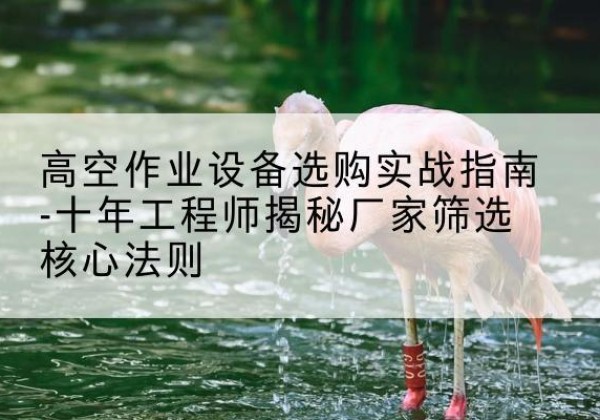 东方剪叉式升降机厂家-高空作业设备选购实战指南-十年工程师揭秘厂家筛选核心法则